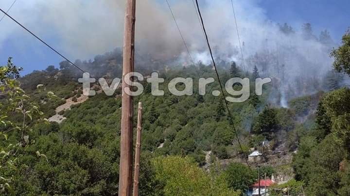 Πυρκαγιά σε δασική έκταση στην περιοχή Δερμάτι του δήμου Καρπενησίου.(φωτο)