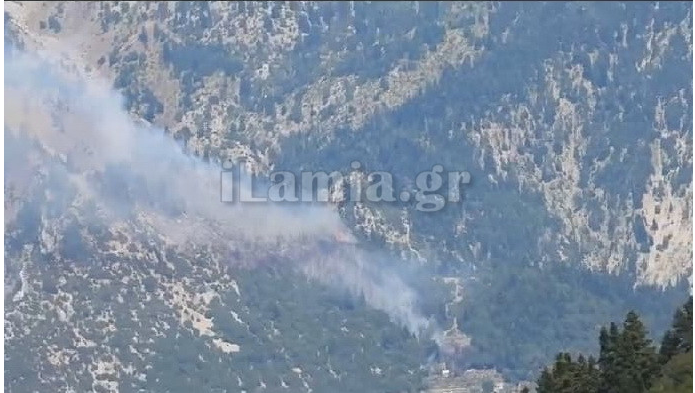 Πυρκαγιά σε δασική έκταση στην περιοχή Δερμάτι του δήμου Καρπενησίου.(φωτο)