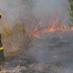 Πυρκαγιά στο Μούρεσι Πηλίου