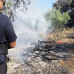 Η χθεσινή μεγάλη φωτιά έκαψε 160 στρέμματα στη Μάνη