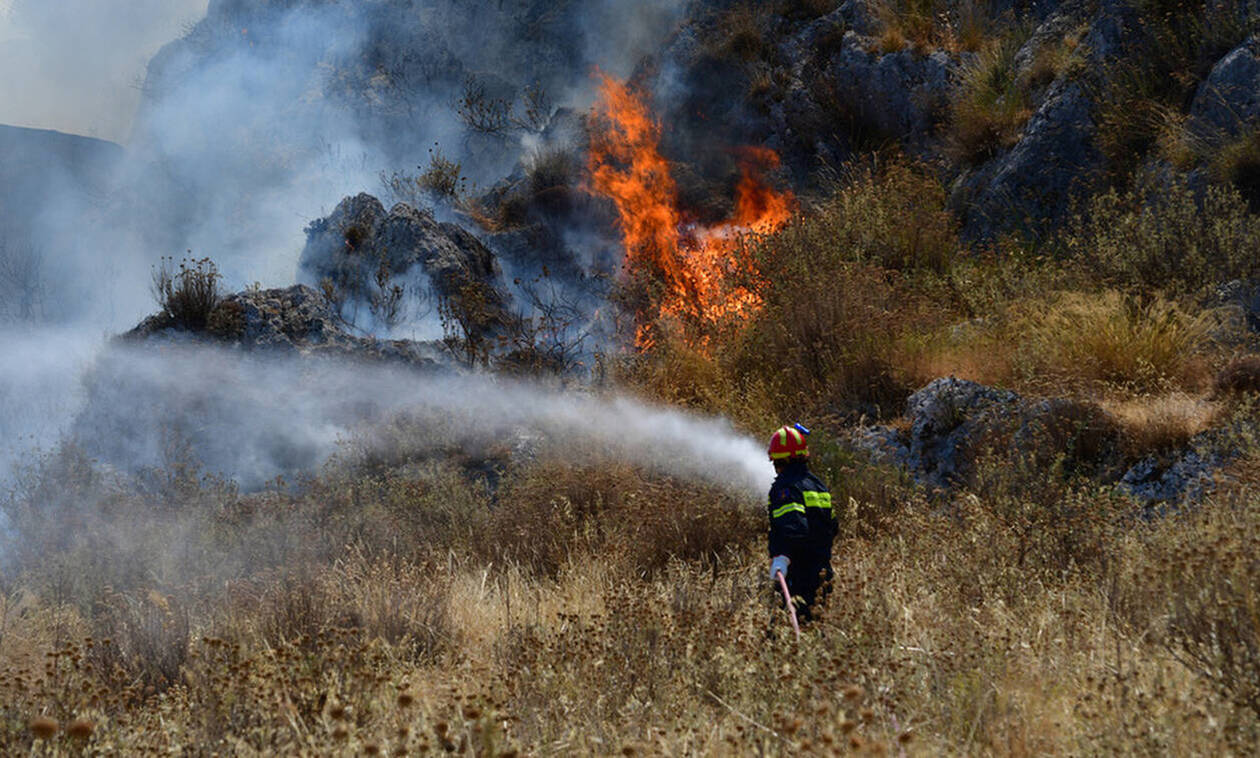 Πυρκαγιά στο Νέο Ροεινό Ναυπλίου