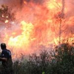 Πυρκαγιά στο Παναρίτη προς Νέο Ροεινό Αργολίδας