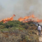 Πυρκαγιά στην Λίμνη Δόξα Κορινθίας