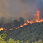 Πυρκαγιά στο Νέο Ροεινό Αργολίδας