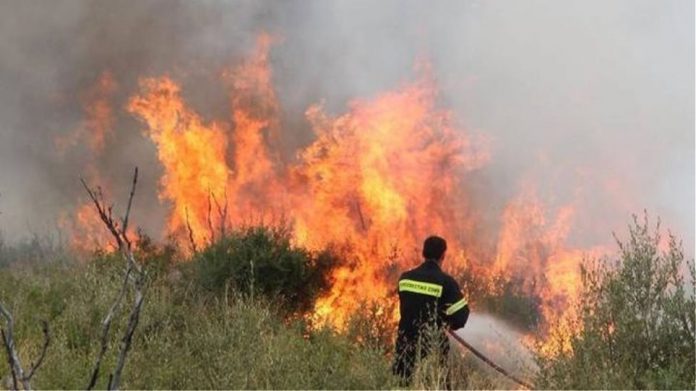 Πυρκαγιά στα Κόσκινα Ευβοίας