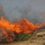 Συνελήφθη άνδρας για εμπρησμό στο Πλωμάρι