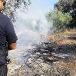 Πυρκαγιά στην Παλια Βάλτας Γαργαλιάνων