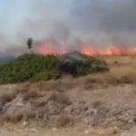 Πυρκαγιά στα Κρητικά της Νότιας Κέρκυρας