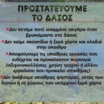 Πυροσβεστικο σωμα: Η φωτογραφία της ημέρας