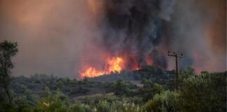 Πυρκαγιά σε δυο εστίες στη Μακρακώμη Φθιώτιδα