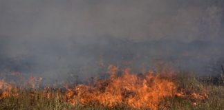 Πυρκαγιά σε ξερά χόρτα στο Ωραιόκαστρο Θεσσαλονίκη