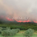 Πυρκαγιά στην Στύρφακα Φθιώτιδας