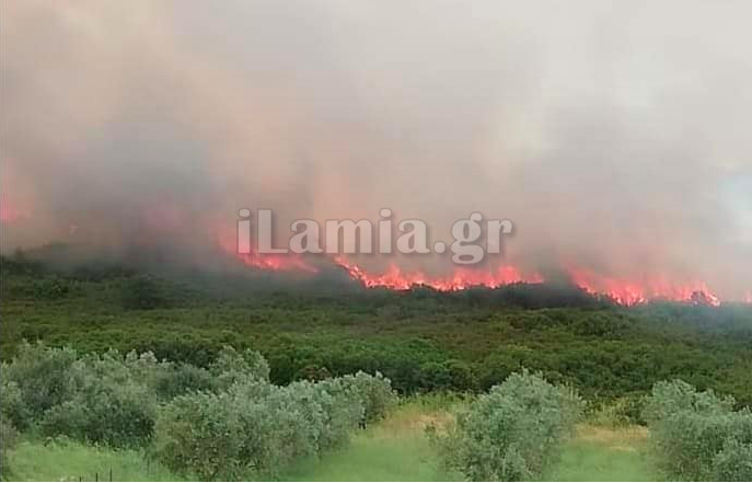 Πυρκαγιά στην Στύρφακα Φθιώτιδας