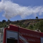 Οριοθετήθηκε η πυρκαγιά στο Κυριάκι Βοιωτίας