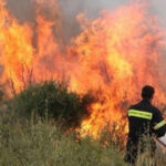 Έκαψε σόλα για να διώξει φίδι και πήρε φωτιά οικόπεδο στην Πάρο!