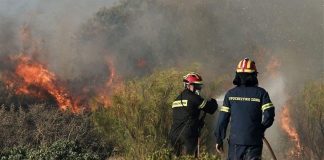 Πυρκαγιά σε ξερά χόρτα έξω από τη Θεσσαλονίκη