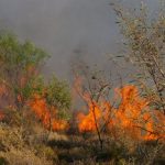 Πυρκαγιά στις Λίμνες Αργολίδας