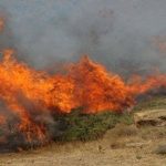 Πυρκαγιά στη Λαμπινού Πηλίου