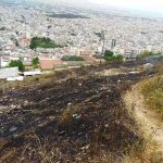 Πυρκαγιά στο Σχιστό Κορυδαλλόυ.φωτογραφιες από το συμβάν