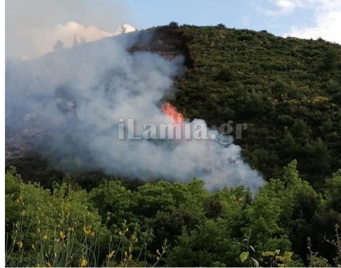 Φθιώτιδα : Υπό έλεγχο τέθηκε η πυρκαγιά στο Γουλέμι