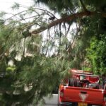 Πολιτική Προστασία Βάρης Βούλας βουλιαγμένης κοπη μεγάλης κλαρας