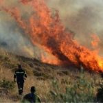 Πυρκαγιά στις Σινιές Κέρκυρας