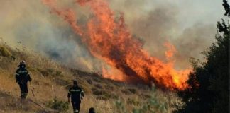 Πυρκαγιά στις Σινιές Κέρκυρας