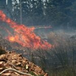 Πυρκαγιά στη Νέα Τίρυνθα Αργολίδας