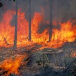 Τι είναι οι πυρκαγιές-«ζόμπι» και γιατί ανησυχούν τους επιστήμονες