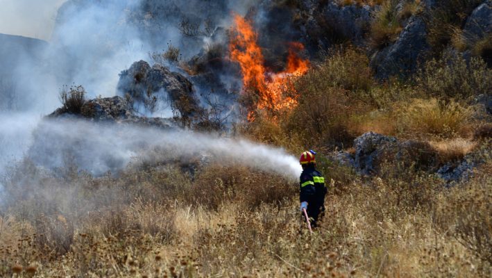 Πυρκαγιά στον Ισσο Κέρκυρας