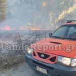 Πυρκαγιά στη Λιλαία κοντά σε δασική έκταση