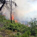 Κομισιόν: Υψηλός κίνδυνος για εκτεταμένες δασικές πυρκαγιές σε όλη την Ευρώπη