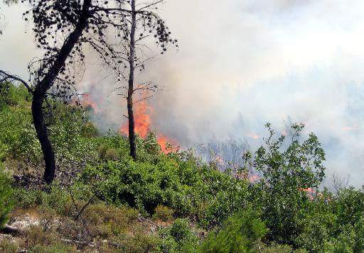 Κομισιόν: Υψηλός κίνδυνος για εκτεταμένες δασικές πυρκαγιές σε όλη την Ευρώπη