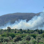 Πυρκαγιά στην περιοχή της ΒΙΑΛ στην Χίο