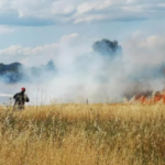 Πυρκαγιά σε χορτολιβαδική έκταση στα Τρίκαλα