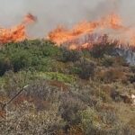 Νεα πυρκαγιά στις Βολίμες Ζακύνθου