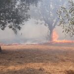 Πυρκαγιά στους Λεπενούς Αιτωλοακαρνανίας