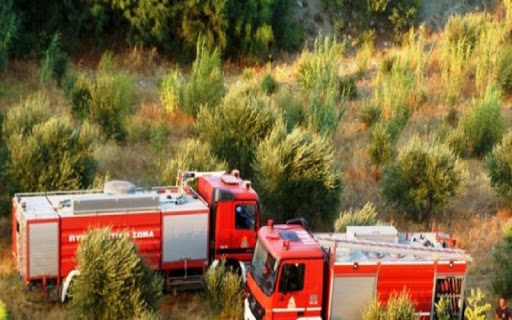 Πυρκαγιά σε αμπέλι στην Ξυλοκέριζα Κορινθίας