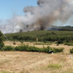 Πυρκαγιά σε δασική έκταση στην Δ.Ε. Σαπών Ροδόπης.