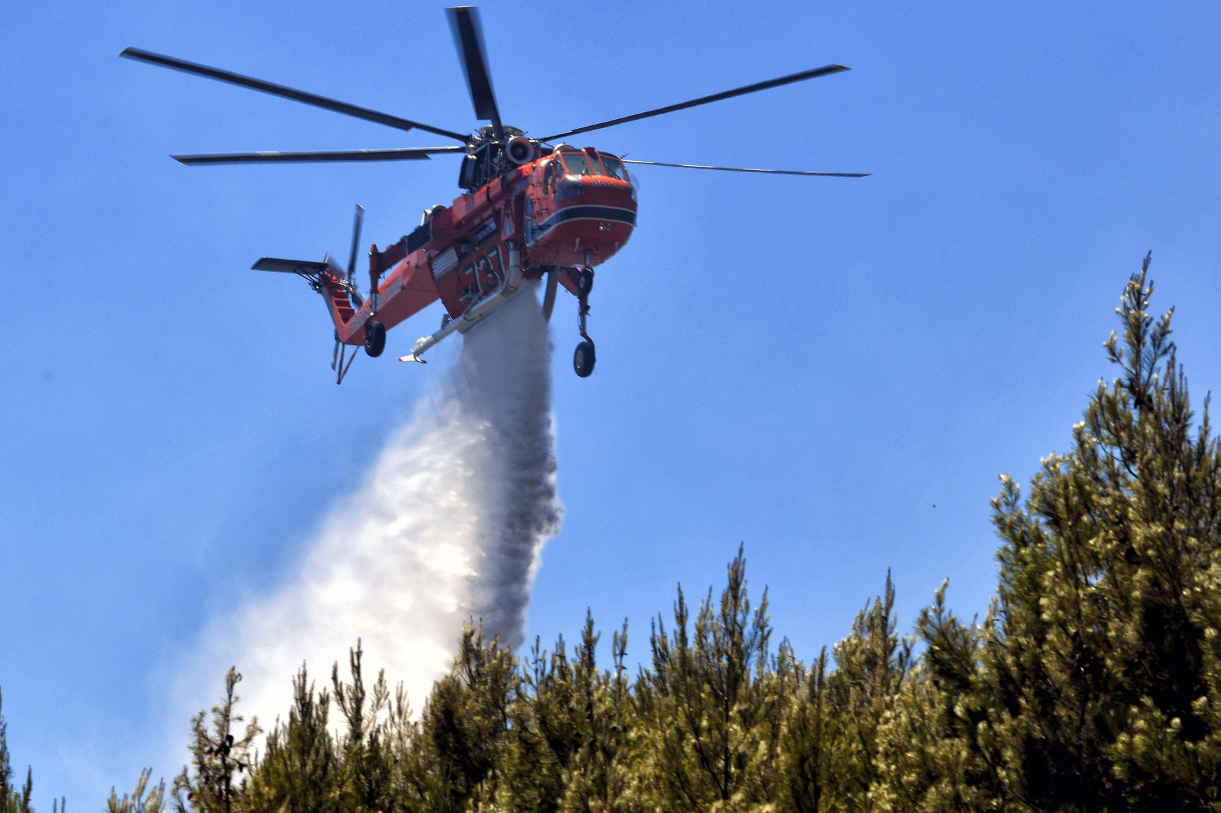 61 Δασικές πυρκαγιές εκδηλώθηκαν σε όλη την χώρα