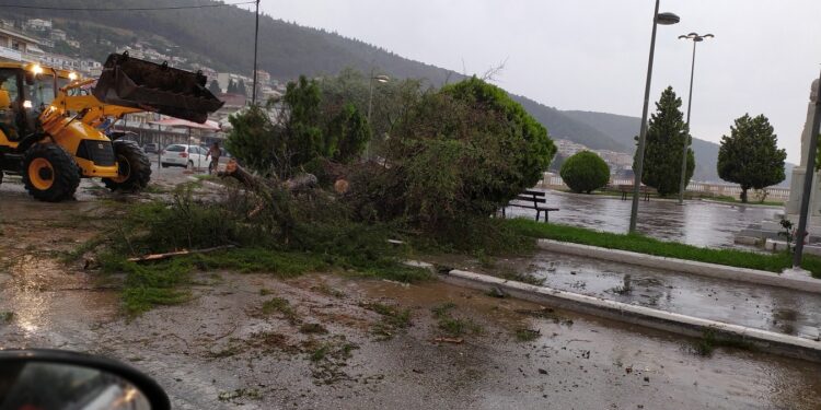 Ζημιές στην Αμφιλοχία άφησε πίσω της η κακοκαιρία (φωτο)