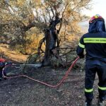 Σύλληψη ατόμου ως υπαίτιου πρόκλησης εμπρησμού από αμέλεια στη Ζαχάρω Ηλείας