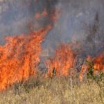 Πυρκαγια σε ξερά χόρτα στα Εξαμίλια Κορινθίας