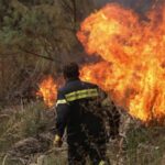 Πυρκαγιά έκαψε 22 στρέμματα στη Μεταμόρφωση