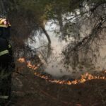 Αγιον Ορος: Πανικός από φωτιά στην Ιερά Μονή Κουτλουμουσίου