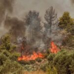 48 Δασικές πυρκαγιές εκδηλώθηκαν σε όλη την χώρα