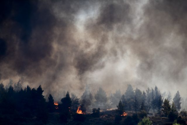 ΤΩΡΑ: Τραυματίστηκε στο κεφάλι πυροσβέστης στις Κεχριές