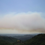 Ηλεία: Ανεξέλεγκτη η φωτιά - Οι φλόγες απειλούν χωριά