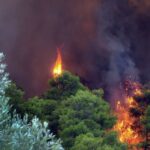 Η συμβολή της δορυφορικής τηλεπισκόπησης στη χαρτογράφηση των δασικών πυρκαγιών