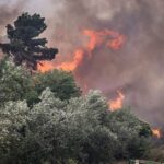 Πυρκαγιά στην Λαμία. - Μεγάλη κινητοποίηση της Πυροσβεστικής